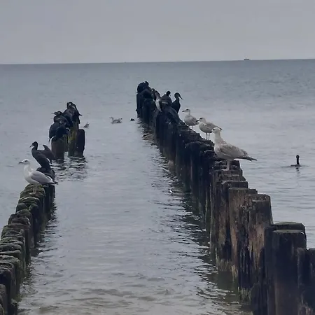 Baltic Seasons Sea View By Alluxe Boutique * Rogowo (Gryfice)